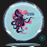 Innova Proto Glow Halo Star Tern Juliana Korver
